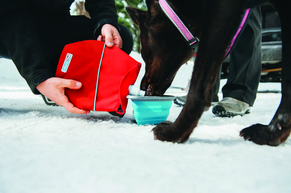 Voyager Dog Canteen Water Carrier