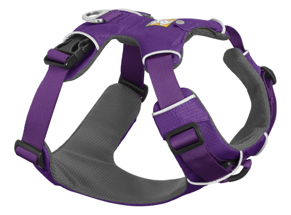 Front Range™ Harness Tillandsia Purple XXS