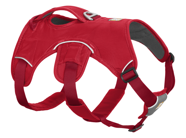 Web Master™ Harness Red Currant XXS