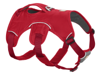Web Master™ Harness Red Currant XXS