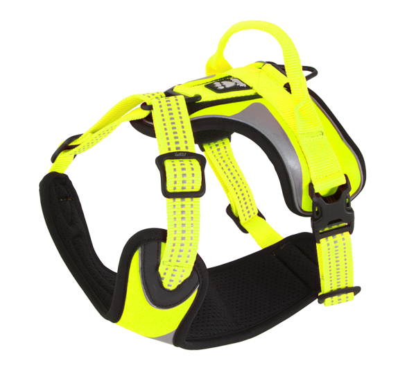 Sportgeschirr Dazzle Harness Neon Gelb 40-45