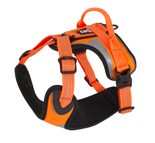 Sportgeschirr Dazzle Harness Neon Orange 40-45