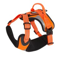 Sportgeschirr-Dazzle-Harness-Neon-Orange-40-45