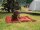 Loft Wander Dog Bed Chilly Red L