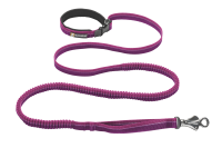 Ruffwear Roamer Leash™, Purple Dusk, L