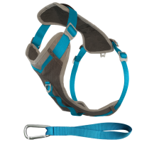 Journey Harness Charcoal / Blue S