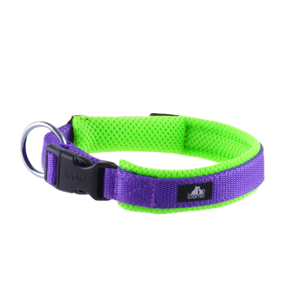 Halsband green / violet L