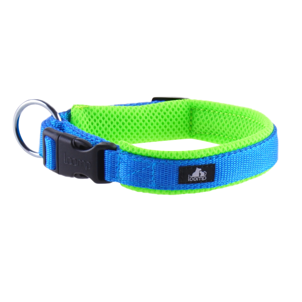 Halsband grün / blau L