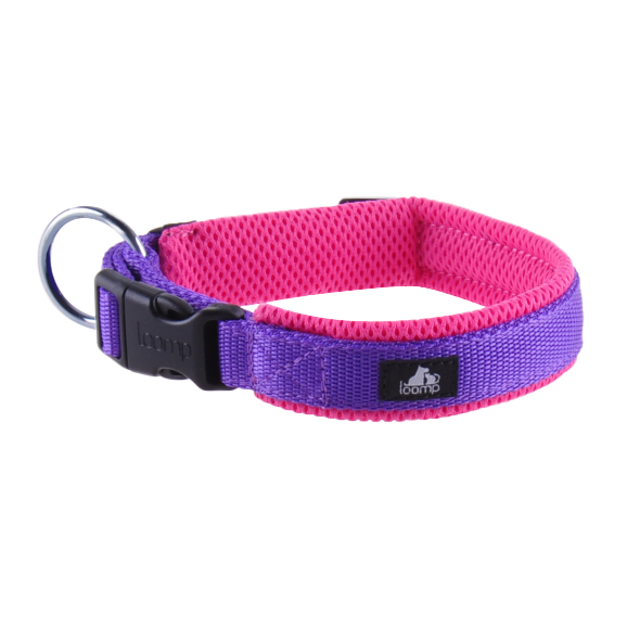 Halsband pink / violet L