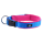 Halsband pink / blau L
