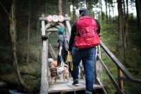 G-Train K9 Backpack Red